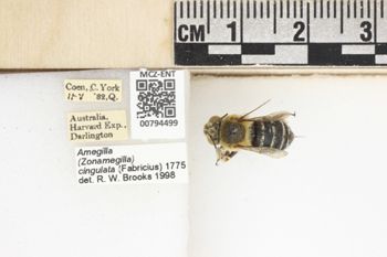 Media type: image;   Entomology 794499 Aspect: labels